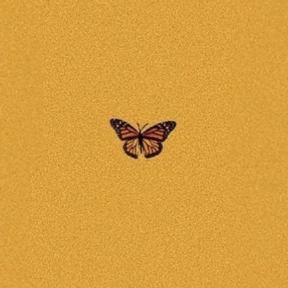 Meet your Posher, Izabelle - Picture 1 of 1